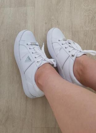 Guess