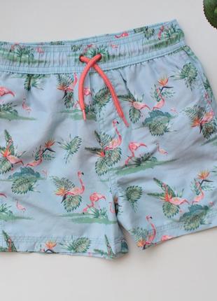 Классные легкие шорты из фламинго george 5-6 лет1 фото