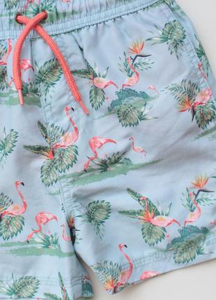 Классные легкие шорты из фламинго george 5-6 лет2 фото