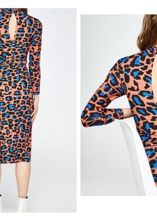 Sfera испания платье миди леопард с аквамарином s/m/l классное8 фото
