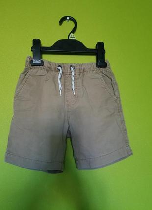 Шорты котоновые шортики