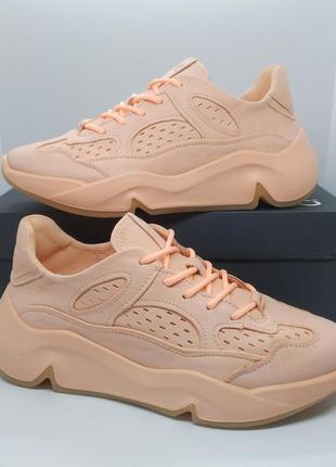 Кожаные кроссовки хайтопы ecco chunky sneaker оригинал