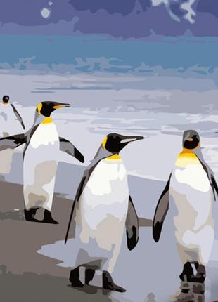 Картина по номерам strateg пингвины 40x50 см gs696 gs696 набор для росписи по цифрам