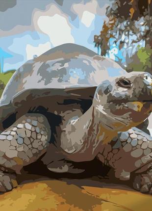 Картина по номерам strateg взрослая черепаха 40x50 см gs582 gs582 набор для росписи по цифрам