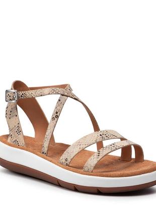 Clarks jemsa strap taupe snake