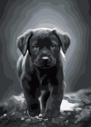 Картина по номерам strateg little labrador 40x50 cm dy277 dy277 набор для росписи по цифрам