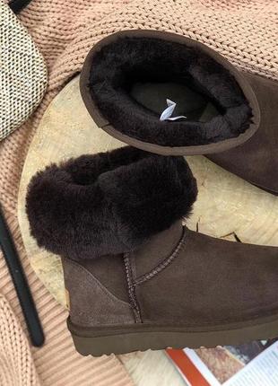 Угги угги сапоги женские сапоги валянки ugg classic short 10162231 фото