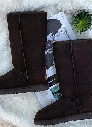 Високі уггі трендового кольору. ugg Pink australia