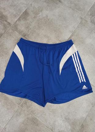 Шорты adidas