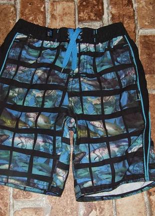 Пляжні шорти хлопчикові 2-3 роки rebel