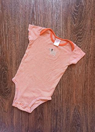 Боди carter's