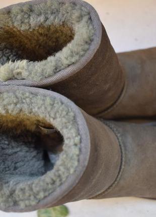 Зимние ботинки замшевые полусапоги овчина угги уги валенки ugg оригинал5 фото