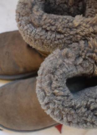 Зимние ботинки замшевые полусапоги овчина угги уги валенки ugg оригинал7 фото