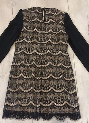 Чорне мереживне плаття ted baker7 фото
