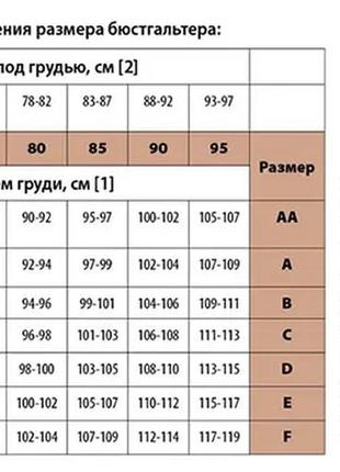 Купальник с мягкой чашкой, съемный поролон z.five на 46 48 50 52 54 размер3 фото