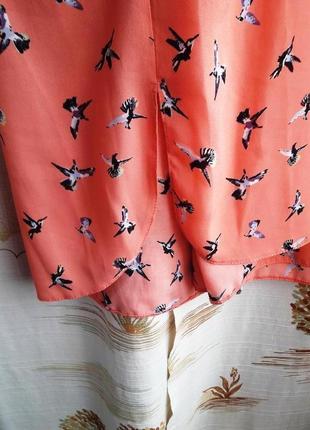 Легка блуза з птахами від george 4xl4 фото