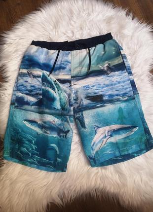 Баллоновые шорты плавки с акулами на 10-11 лет1 фото