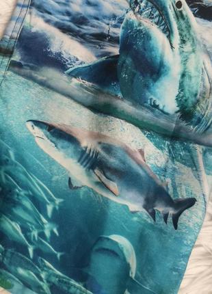 Баллоновые шорты плавки с акулами на 10-11 лет3 фото