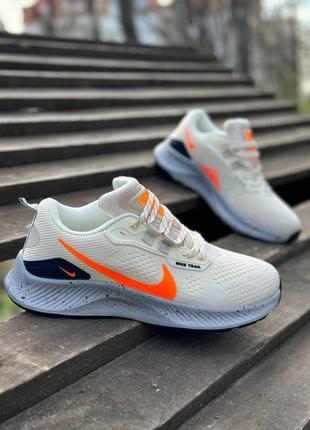 Мужские кроссовки nike pegasus