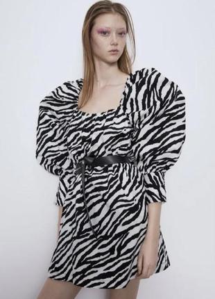 Сукня зебра принт zara2 фото