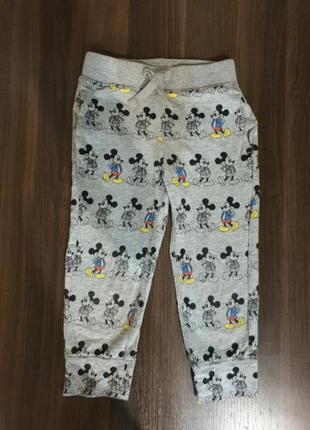 Брюки, штаны трикотажные gap, next, primark, zara, h&m, matalan, f&f