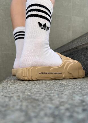 Сланцы adidas yeezy adilette slides beige4 фото