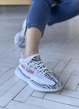 Чоловічі та жіночі кросівки adidas yeezy boost 350 v2 zebra