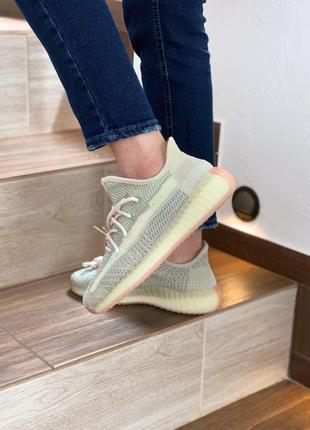 Кросівки жіночі adidas yeezy boost 350  адідас ізі буст