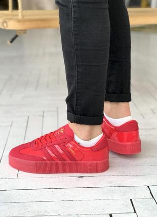 Кроссовки женские adidas samba  адидас самба5 фото