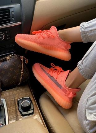 Жіночі кросівки adidas yeezy boost 350 v2 coral (рефлективні шнурки)