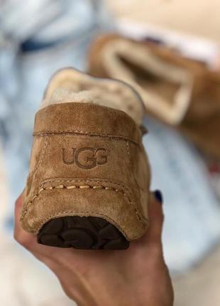 Угги угги сапоги мужские мокасины ugg ascot-suede 57752 фото