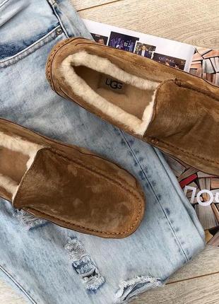 Уггі угги чоботи чоловічи мокасини ugg ascot-suede 5775