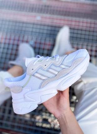 Мужские и женские кроссовки  adidas  ozweego cloud "white"