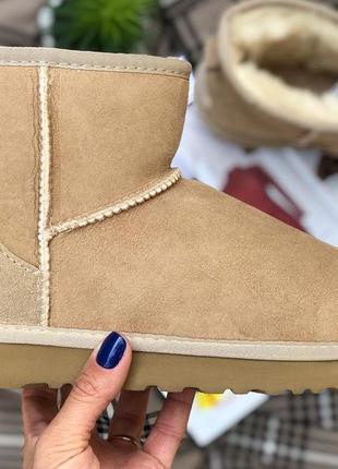 Угги угги сапоги женские сапоги валянки ugg classic mini 10162223 фото