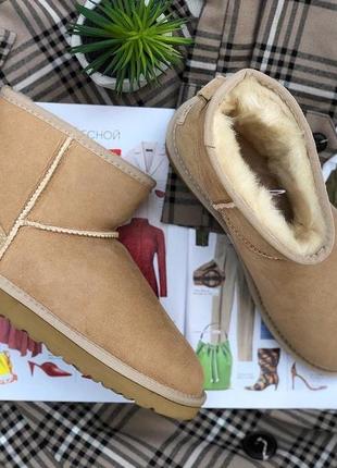 Уггі угги чоботи жіночі сапоги валянки ugg classic mini 1016222