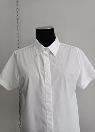 Белая рубашка с коротким рукавом из супима хлопка no iron ( без глажки) lands' end ,14(l)4 фото