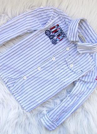 Качественная и стильная рубашка beebies