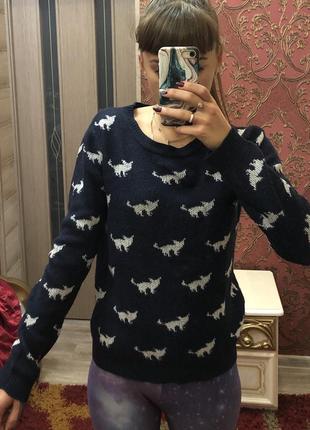 Джемпер котики