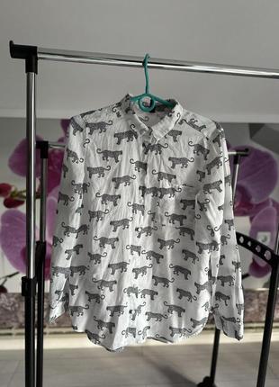 Сорочка рубашка Шикарний h&m 36 розмір с/м