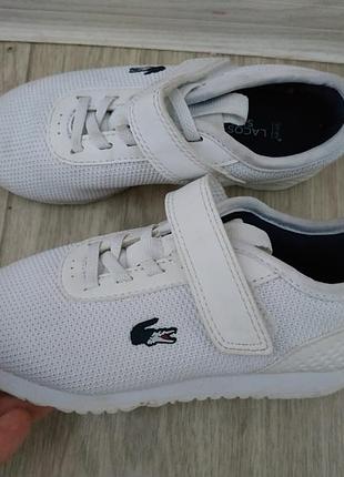Кросівки lacoste р. 25 оригінал 2