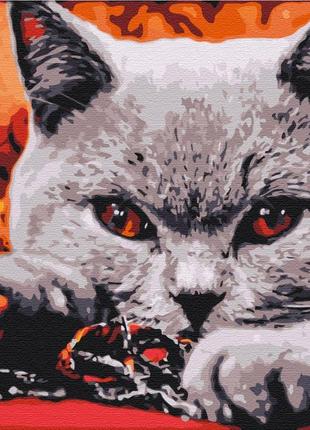 Картина за номерами 40х50 на дерев'яному підрамнику "домашній хижак" bs32800