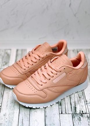 Кроссовки женские reebok classic  рибок классик6 фото