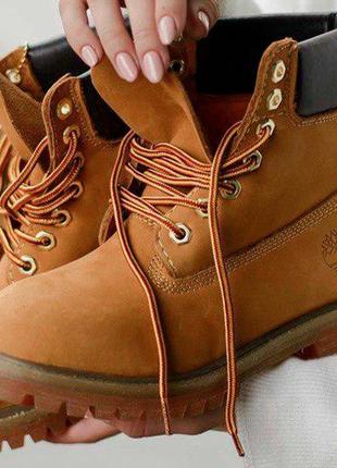 Жіночі зимові черевики timberland тімберленд