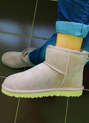 Женские ботинки ugg classic mini  сапоги, угги зимние4 фото