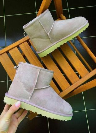 Жіночі черевики ugg classic mini чоботи, уги зимові1 фото