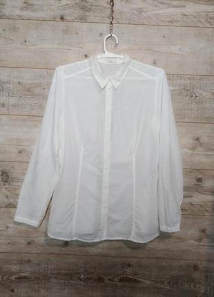 Біла сорочка сорочка з