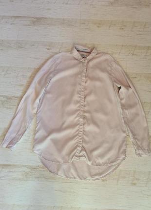 Легкая розовая рубашка лиоцелл tommy hilfiger