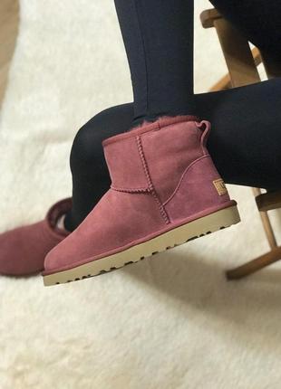 Женские ботинки ugg classic mini  сапоги, угги зимние2 фото