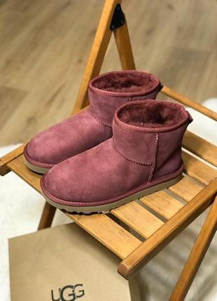 Черевики ugg classic mini чоботи, уггі зимові