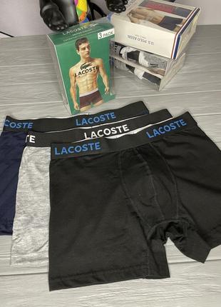 Набор мужских трусов lacoste | 3 удобных боксерок в подарочной упаковке